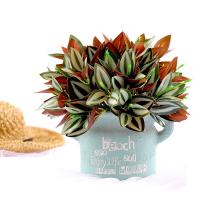 uploads/erp/collection/images/Home Garden/CongDing/XU0610698/img_b/XU0610698_img_b_3